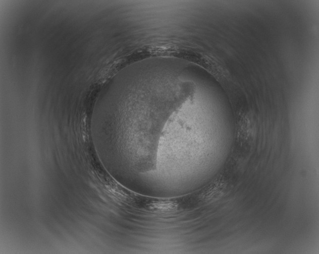 X0000054400659200508011324