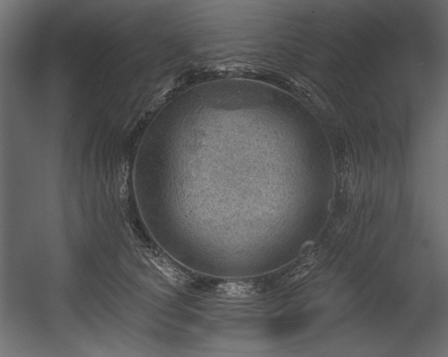 X0000054400660200508011324