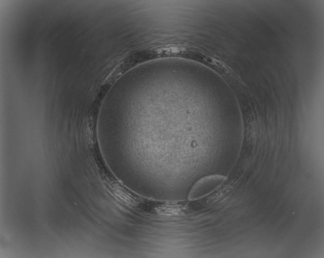 X0000054400661200508011324