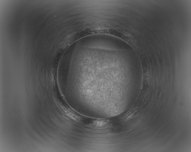 X0000054400662200508011324