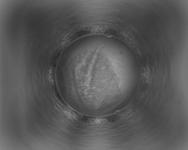 X0000054400663200508011324