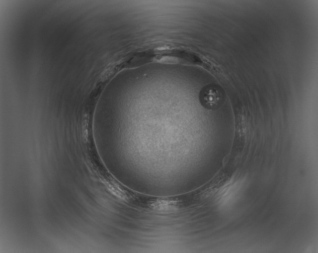 X0000054400664200508011324