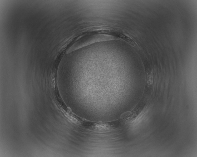 X0000054400666200508011324