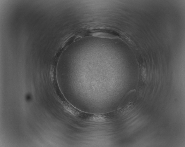 X0000054400668200508011324