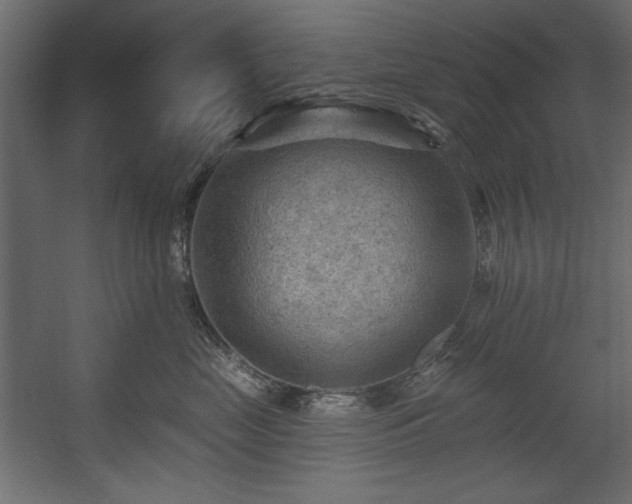 X0000054400669200508011324