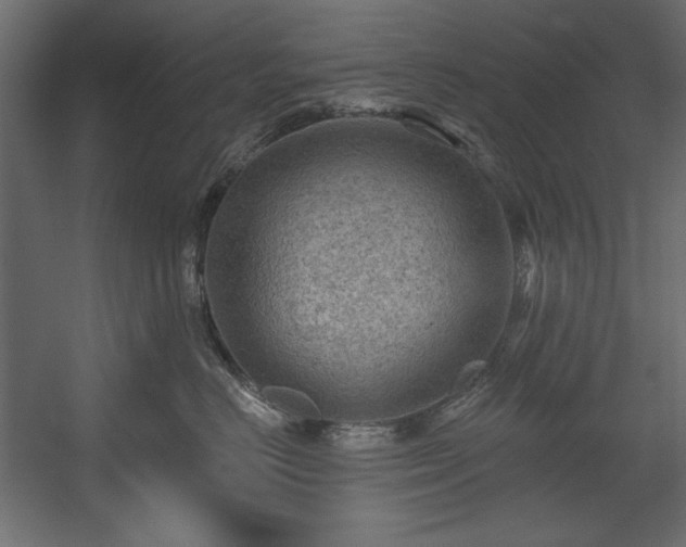 X0000054400670200508011324