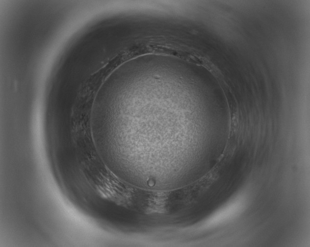 X0000054400671200508011324