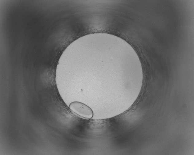 X0000054400672200508011324