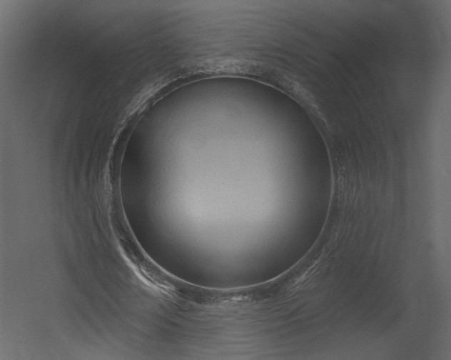 X0000054400674200508011323