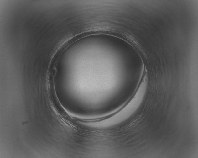 X0000054400676200508011323