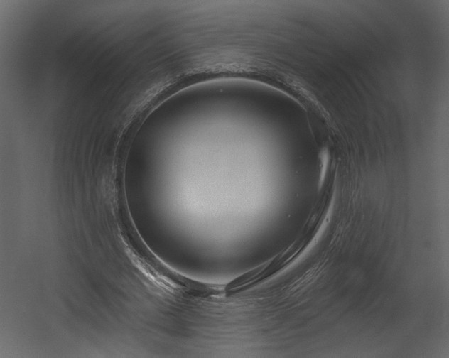 X0000054400677200508011323