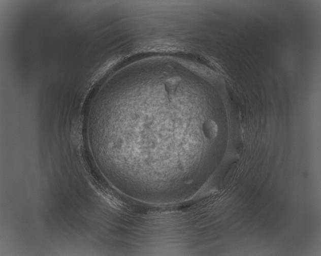 X0000054400679200508011323