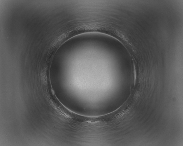 X0000054400681200508011323