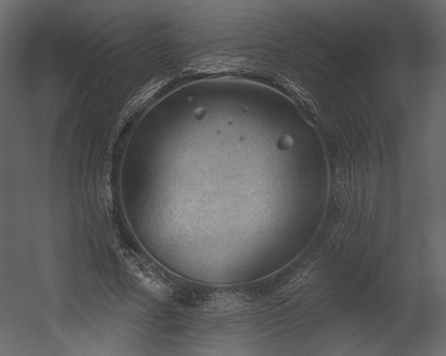 X0000054400682200508011323