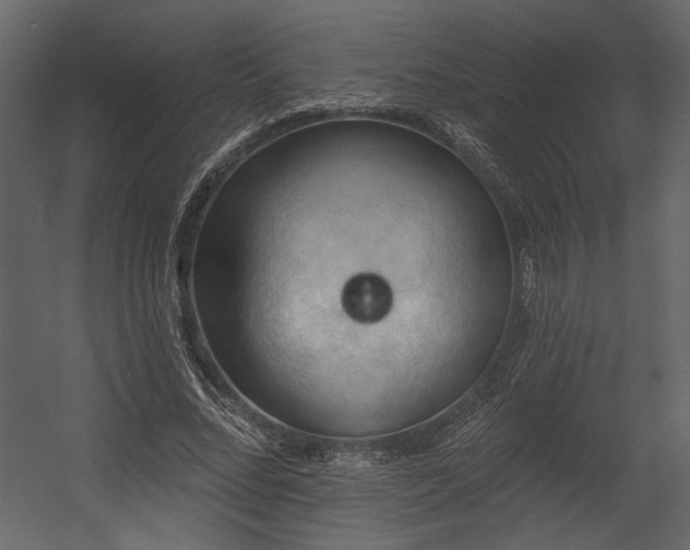 X0000054400684200508011323