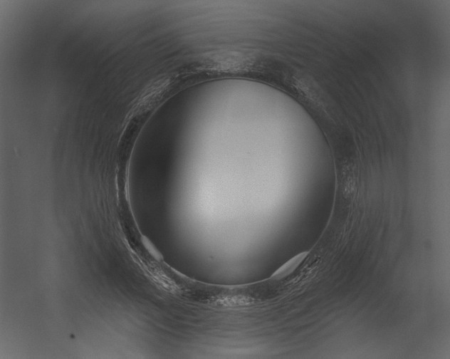 X0000054400685200508011323