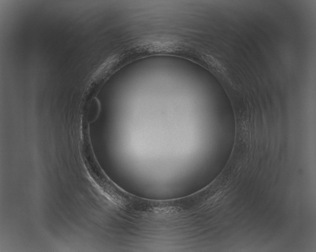 X0000054400686200508011323