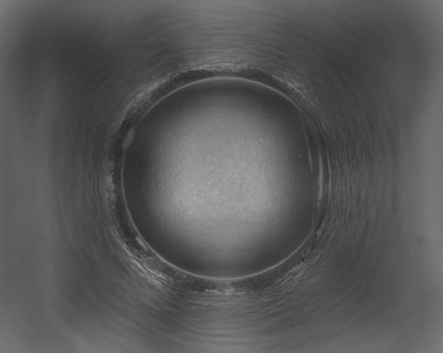 X0000054400688200508011323