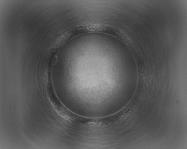 X0000054400690200508011323