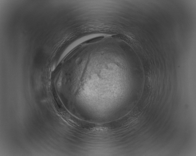 X0000054400691200508011323