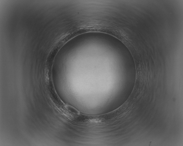 X0000054400692200508011323