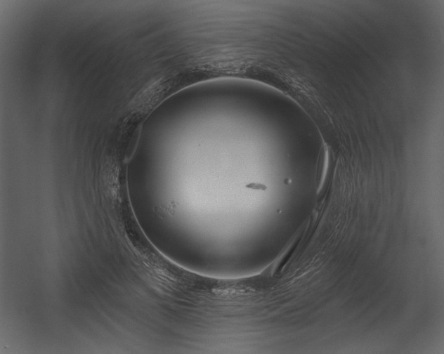 X0000054400693200508011323