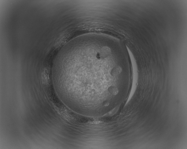 X0000054400695200508011323