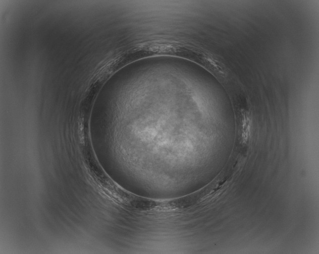 X0000054400696200508011323