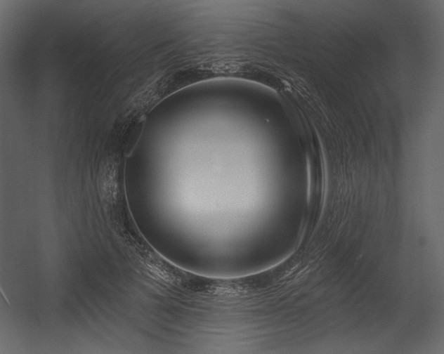 X0000054400697200508011323