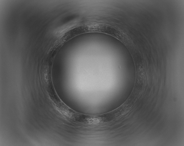 X0000054400698200508011323