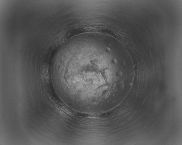 X0000054400699200508011323