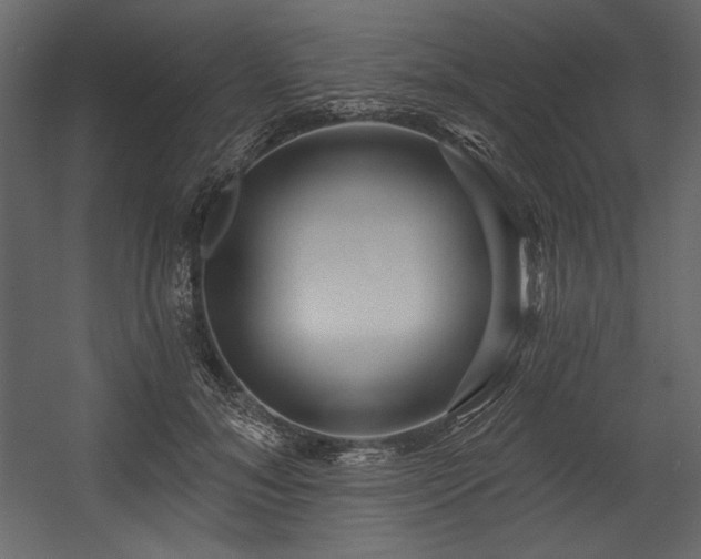 X0000054400700200508011323