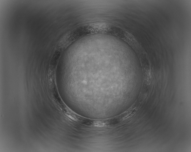 X0000054400701200508011323