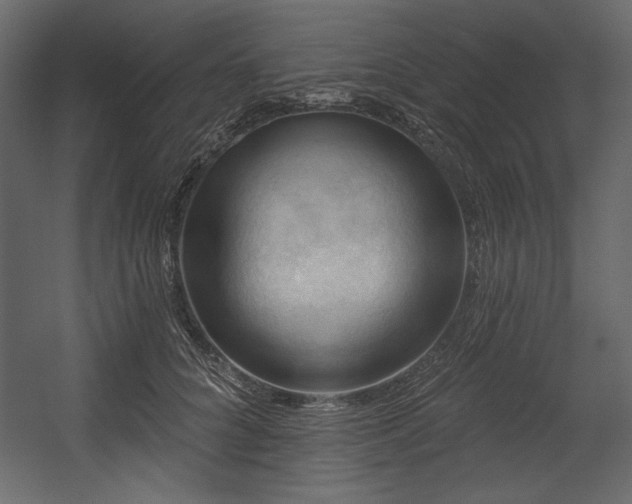 X0000054400704200508011323