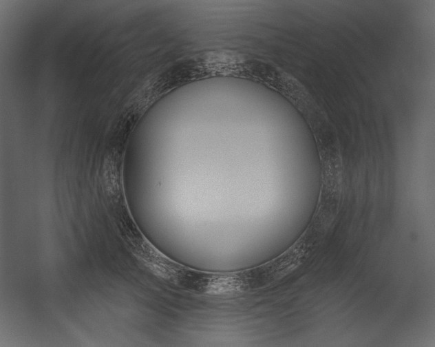 X0000054400705200508011323