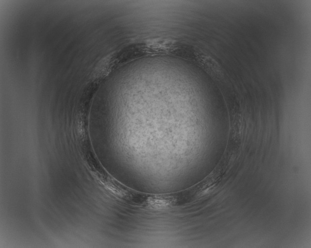 X0000054400706200508011323