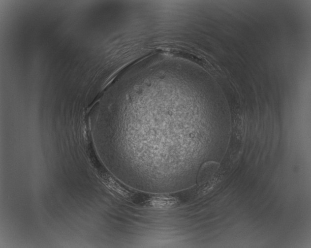 X0000054400707200508011323