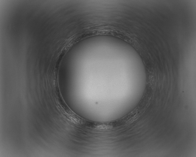 X0000054400708200508011322