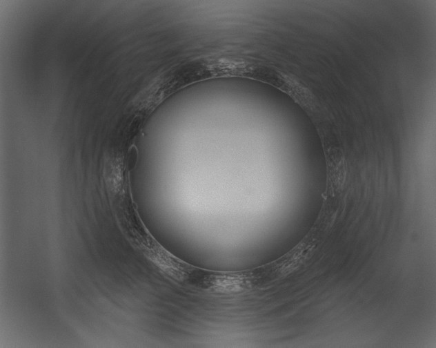 X0000054400709200508011322