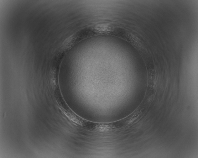 X0000054400710200508011322