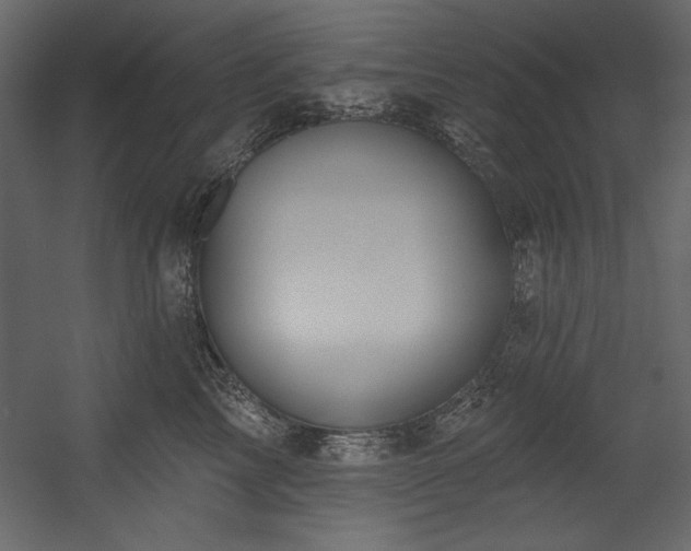 X0000054400713200508011322