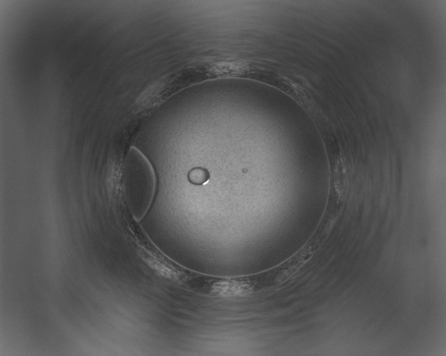 X0000054400714200508011322