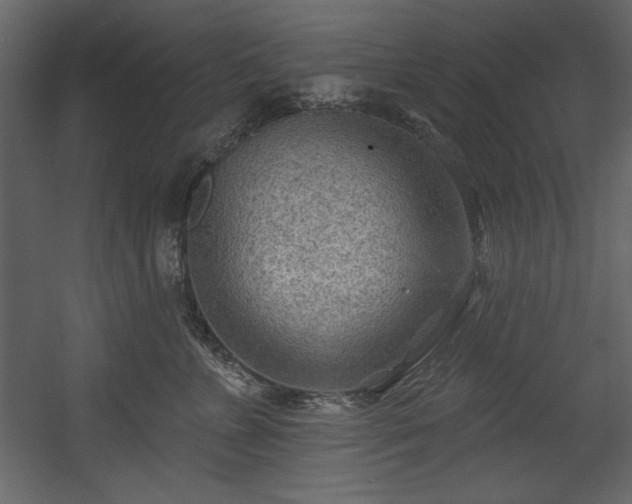 X0000054400715200508011322