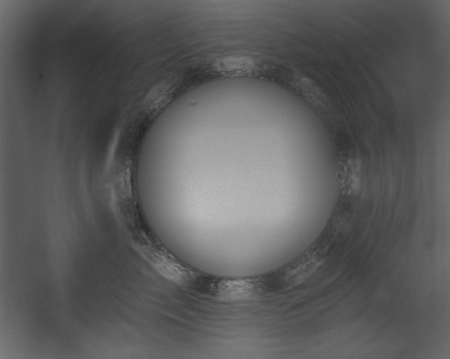 X0000054400717200508011322