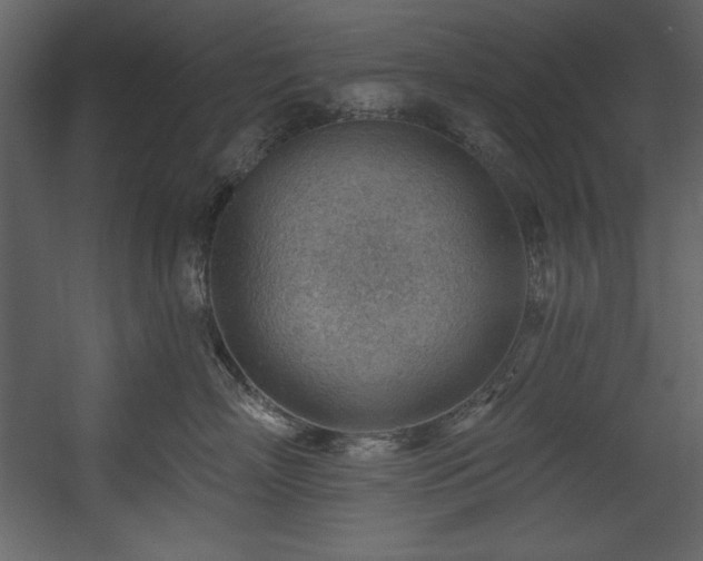 X0000054400718200508011322