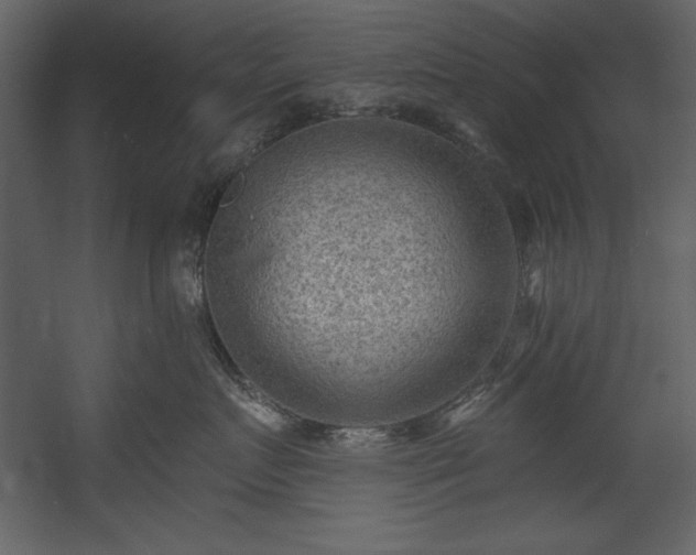 X0000054400719200508011322