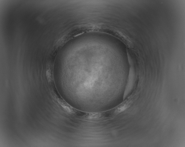 X0000054400720200508011322