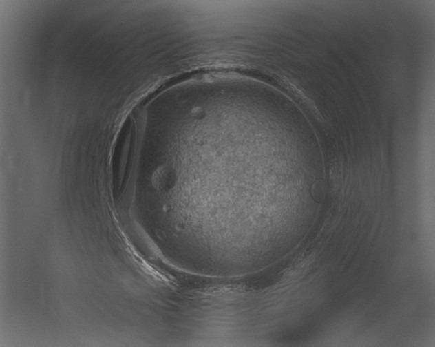 X0000054400721200508011321