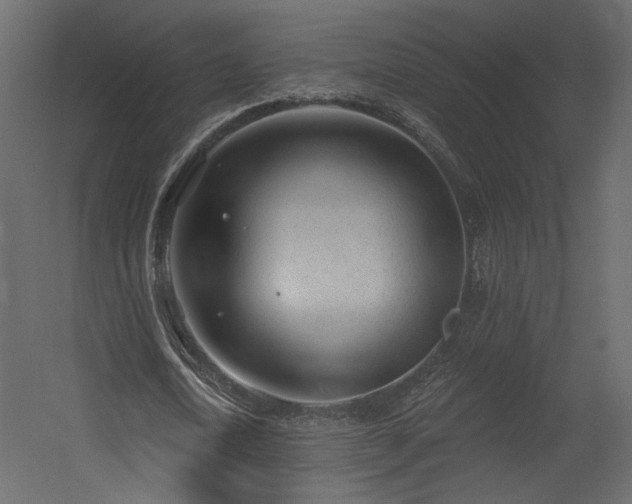 X0000054400722200508011321