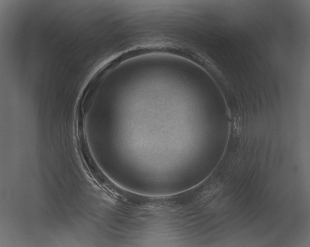 X0000054400724200508011322